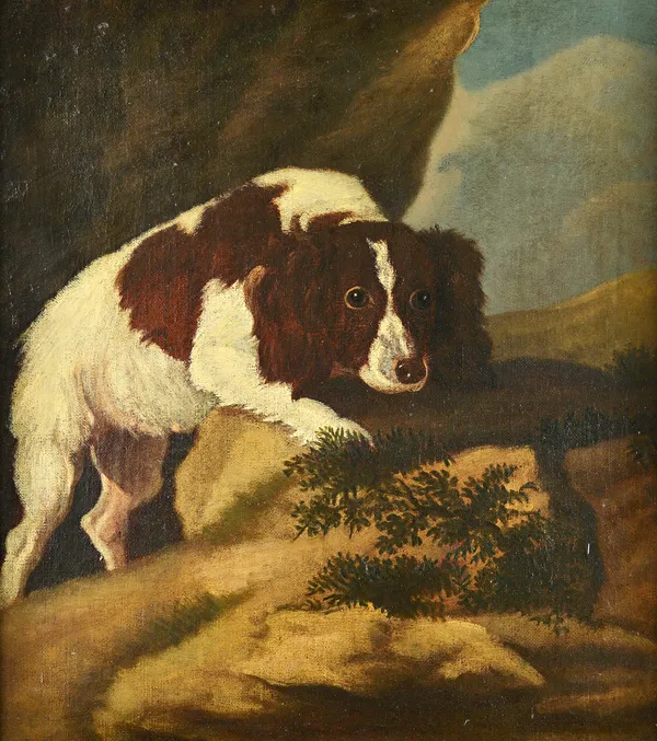 Follower of Adriaen Cornelisz Beeldemaker (1625-1701), A spaniel in a landscape, oil on canvas, 52cm x 46cm.Literature: J.P. Richter, Catalogue of Pic