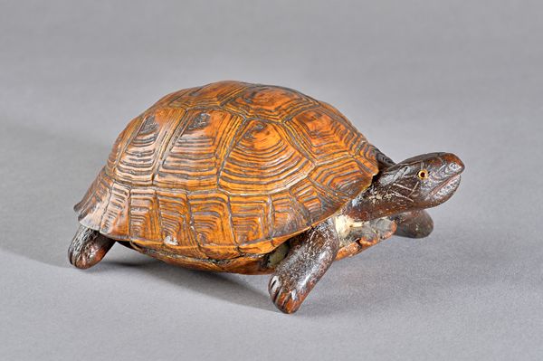 A taxidermy tortoise inkwell with silver hinged lid to the interior engraved 'WANA WAIRSTAN 1894', 19cm wide.