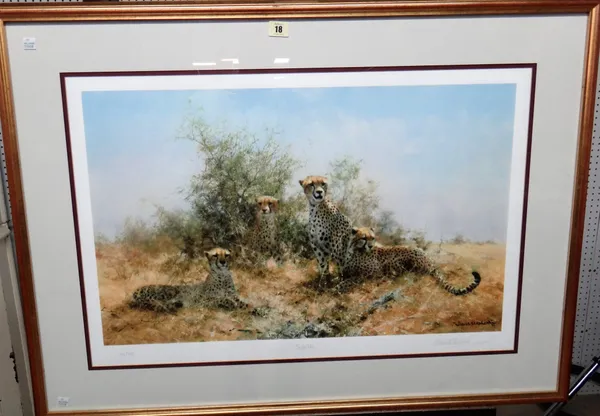 David Shepherd (1931-2017), Cheetah, colour print, signed in pencil and numbered 23/350, 48cm x 74cm.