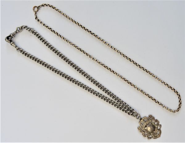 A gold circular link neckchain, detailed 9 C, on a gilt metal boltring clasp, gross weight 7 gms and a gentleman's silver curb link watch Albert chain