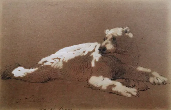 William Strutt (1826-1915), Polar bear, pencil heightened with white, signed and inscribed, 12cm x 18cm.