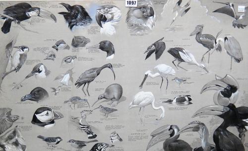 William Neave Parker (1910-1961),  Shoreline birds; Bird studies, two, monochrome watercolour and gouache, both signed and inscribed, together with a