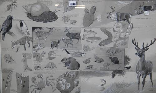 William Neave Parker (1910-1961), Montage of animals in foreign landscapes, pen, ink and grey wash, heightened with white, one signed, each 43cm x 71c