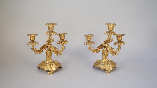 A pair of ormolu Rococo style candelabra, 19th century, each of foliate cast form on a shaped base, 23.5cm high.