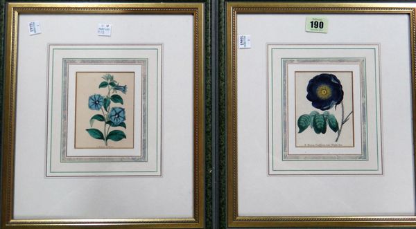 Continental School (19th century), Flower studies, a pair, engravings with hand colouring, each 10cm x 7.5cm.; together with a further pair of floral