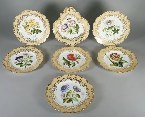 A Coalport botanical part dessert service, circa 1840, each piece well painted with a titled speciman inside deep cream and gilt borders, comprising;