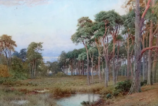 Harry Sutton Palmer (British 1854-1933), A woodland pool, watercolour, signed, 35.5cm x 52cm.