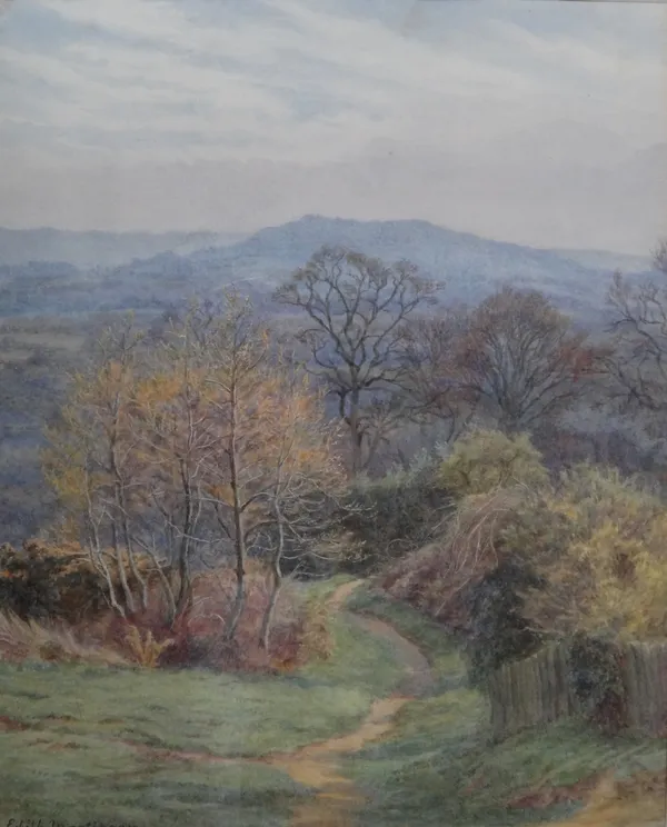 Edith Martineau (British, 1842-1909), A path through a landscape, watercolour, signed, 28cm x 22.5cm.