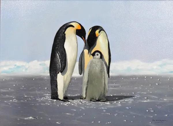 Pip McGarry (British b. 1955), Penguin Family, oil on canvas, signed and dated 1997, 29cm x 39cm. ARR