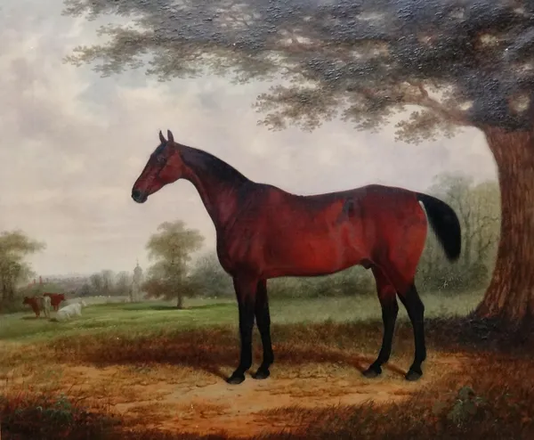 Edwin Brown (British 1814-1891), A portrait of a chestnut horse in a landscape, oil on canvas, signed and dated 1860, 62cm x 75cm.