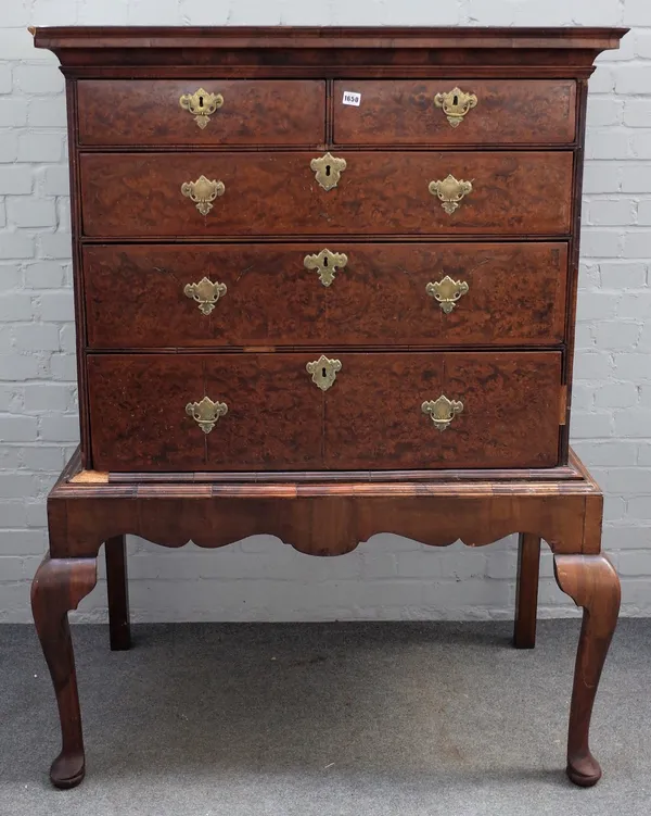 An early 18th century burr walnut feather banded chest, the moulded cavetto cornice above two short and three long drawers, on a projecting stand of l