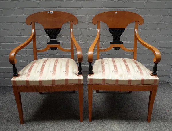 A pair of Biedermeier satin birch part ebonised open armchairs, on sabre supports, 60cm wide x 95cm high.