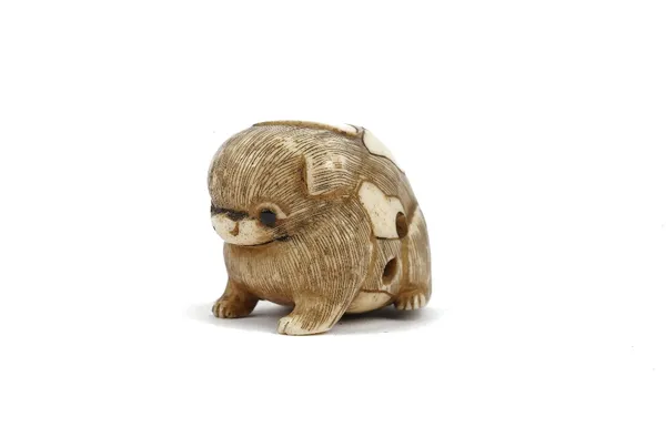 A Japanese ivory netsuke of a puppy, 19th/20th century, carved seated with inlaid eyes, signed, 3.5cm long.