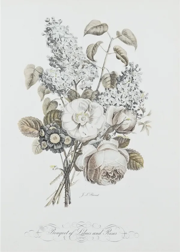 After J. L. Prevost, Botanical and fruit studies, a set of thirteen colour prints, each 34cm x 26.5cm; together with a folio of bird prints, after Bar