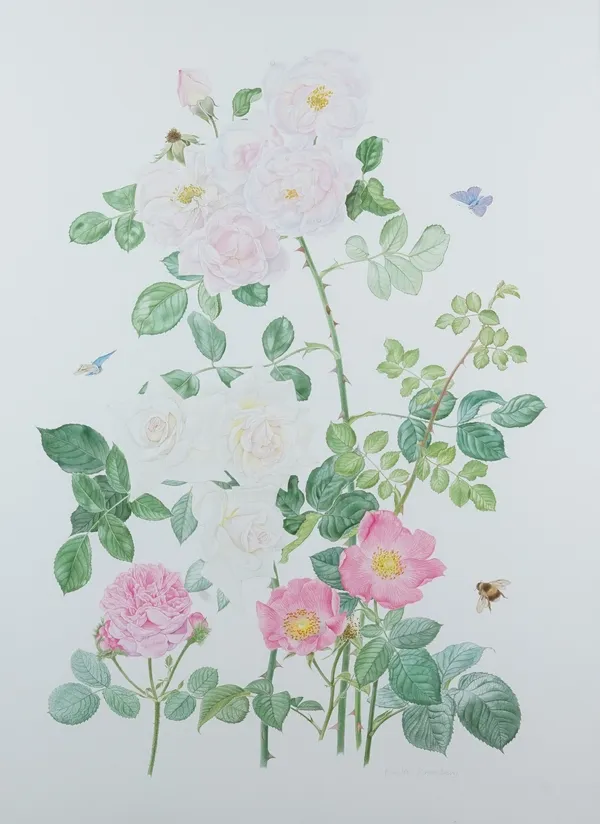 Kristin Rosenberg (20th century), Study of roses and peonies at Barnwell with insects; Studies of roses and water lillies at Barnwell, a set of four w