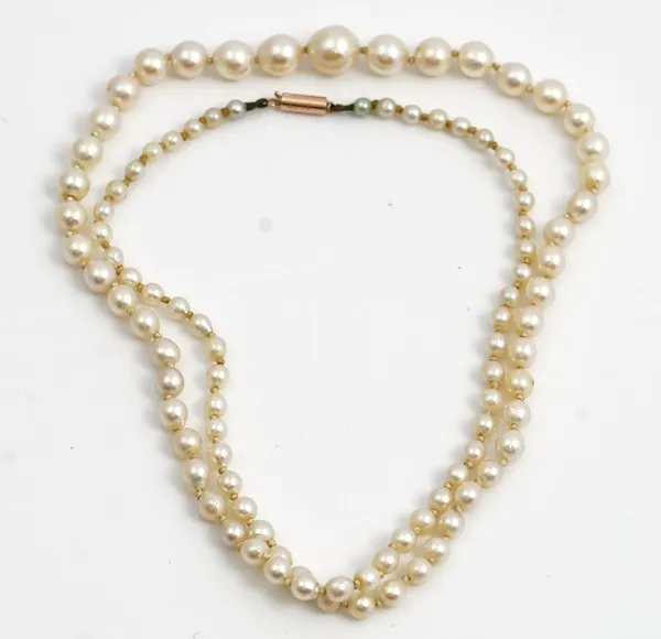 A single row necklace of graduated cultured pearls, on a gold cylindrical clasp, detailed 9 CT, length 51.5cm.