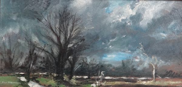 Peter Newcombe (b.1943), Heathercote: March storm, oil on board, signed, 19cm x 40cm. ARR