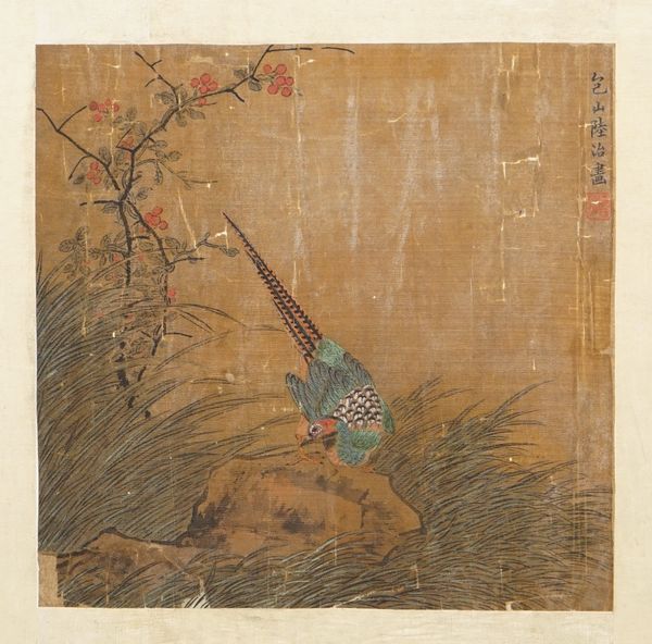 Chinese school, possibly Ming dynasty,  a painting of a pheasant perched on rocks, watercolour on silk laid down on paper, signed and with red seal, 1