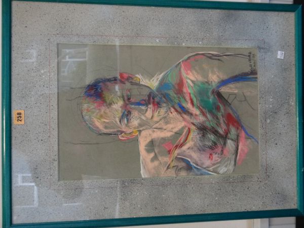 Louise Fritsch (b.1963), Portrait study, coloured chalks, signed and dated 15 mm 94. E1