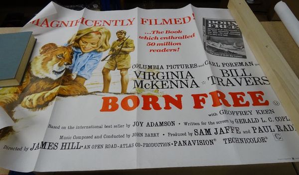 Modern Film posters, comprising; Born Free, The Deadly Trap, Dillinger, The Best of Benny Hill, Devils Island, Cops & Robbers, Busting, The friends of