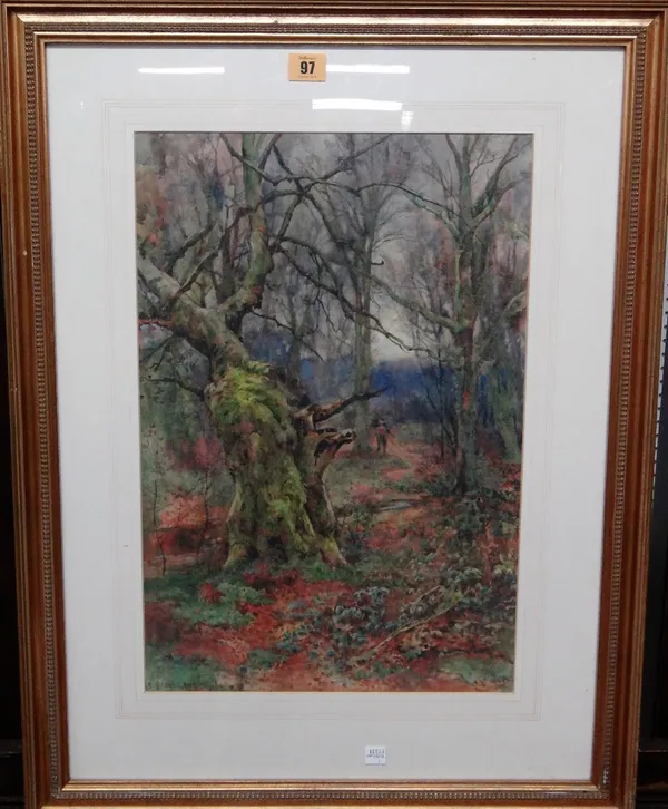 Sidney Grant Rowe (1861-1928), Woodland scene, watercolour, signed, 49cm x 32.5cm.