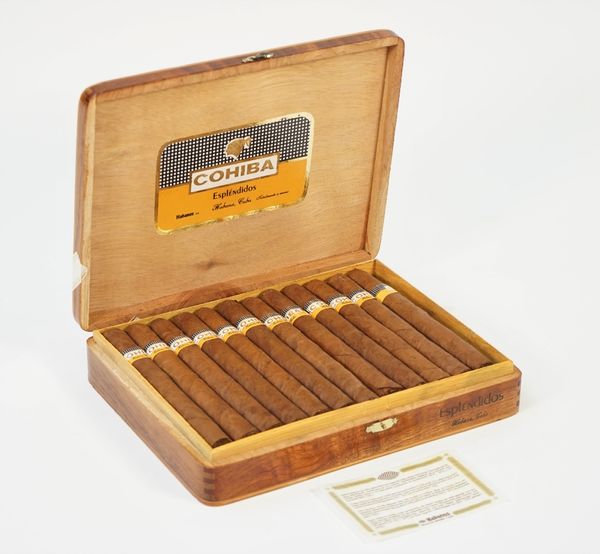 Twenty four Cohiba Esplendidos Cuban cigars, cased, (24).