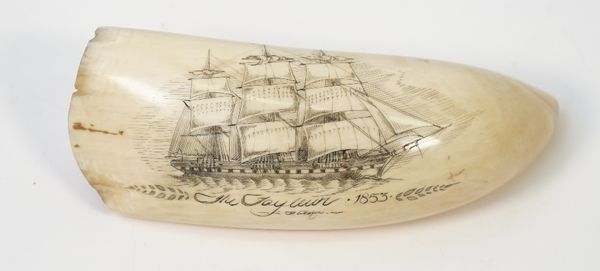 A mid-19th century scrimshaw whale tooth, detailed to one side in black ink 'The Tayleur 1853' with warship at full sail, 14cm.