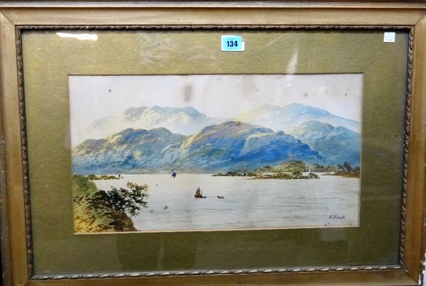 Edwin Earp (19th/20th century), Loch scenes, a pair, both signed, each 26.5cm x 49.5cm, (2).  D1