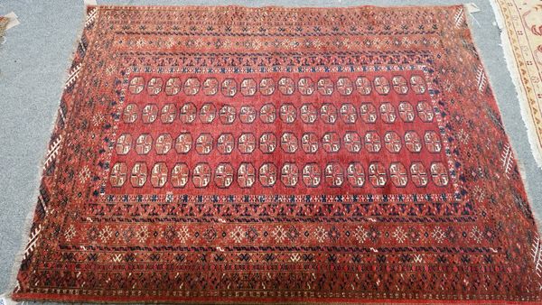 An Afghan rug, the madder field with four columns of sixteen guls, various borders, 175cm x 133cm.