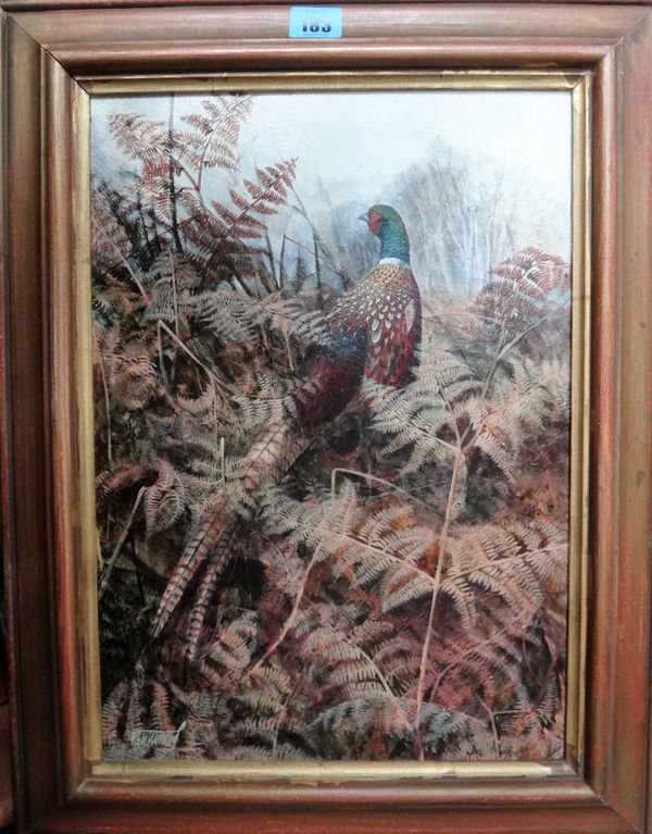 Ken Turner (b.1926), Pheasant, oil on board, signed, 41cm x 29cm.  D1