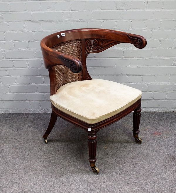 A William IV mahogany tub back desk chair, with scroll arm finials, on reeded supports, 67cm wide x 80cm high.