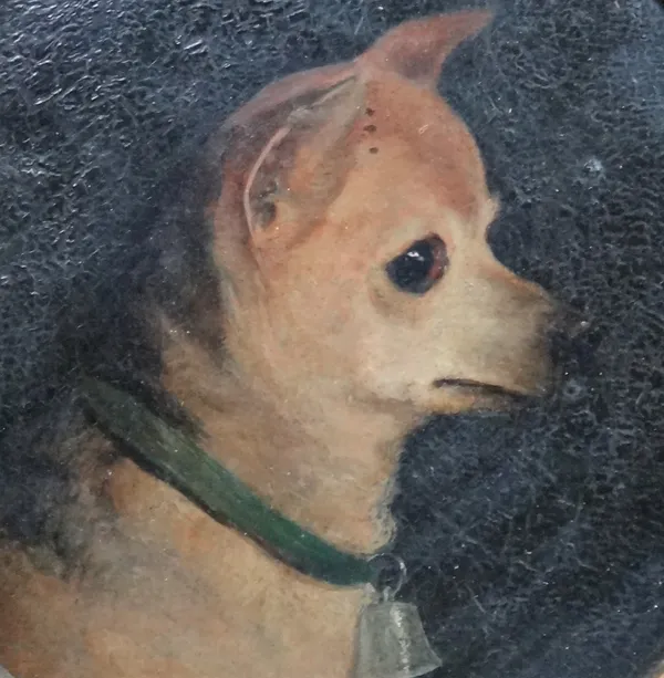 English School (19th century), Head studies of chihuahuas, two, one oil on  board, the other on canvas, the larger 23cm diam, (2).