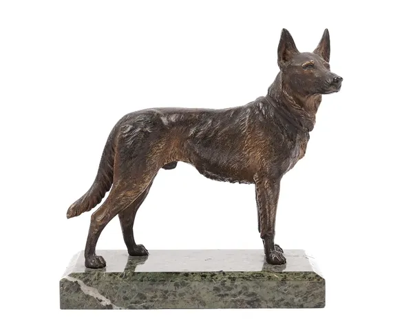 An Austrian cold painted bronze Alsation, early 20th century, mounted on a verdigris marble plinth, 16cm high.