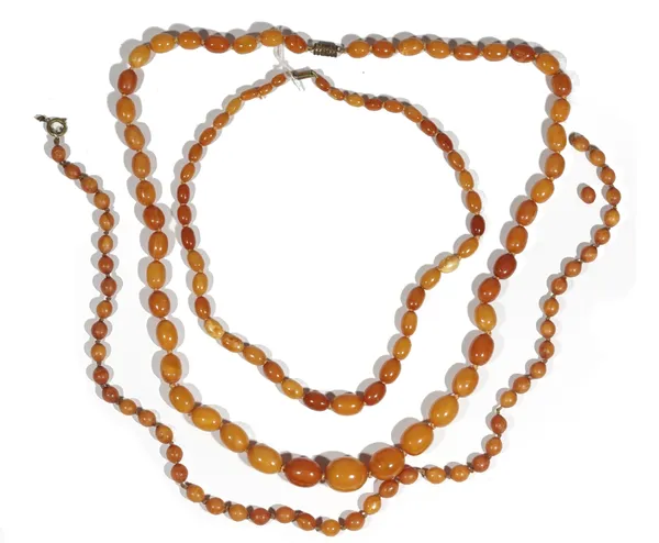 A butterscotch amber bead necklace of graduated design, on a gilt metal screw thread barrel clasp; another smaller example on a yellow metal barrel an