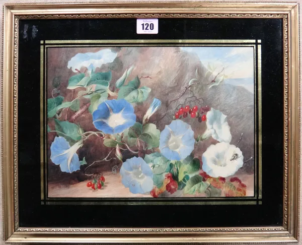 English School (19th century). Still life of Morning Glory and berries, watercolour, 22cm x 30cm.