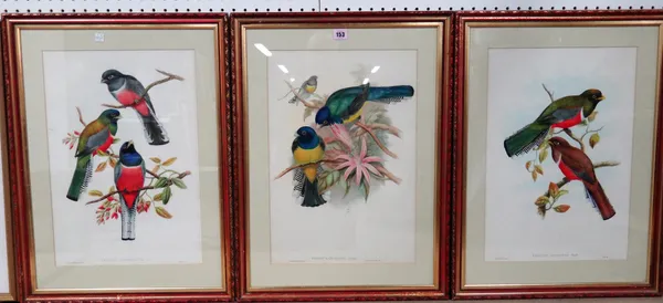 A group of fifteen various ornithological prints, including works after J. Gould and others, most hand coloured, various sizes, (15).