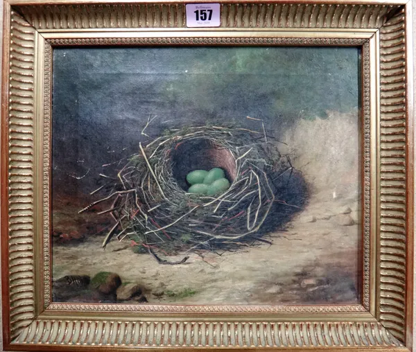 B** Hold (19th/20th century), Studies of birds nests, a pair, oil on canvas, both signed, each 24.5cm x 29cm.