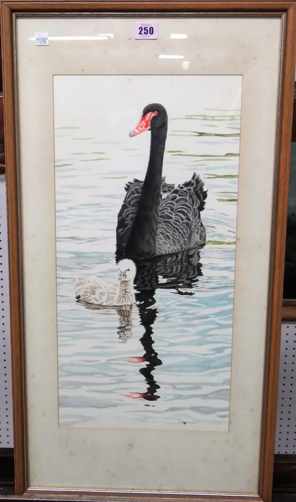 Michael Hampton (b.1937), Loafing Grebes; Black swan with cygnet, two watercolours, both signed with monogram, both inscribed on reverse, the larger 3