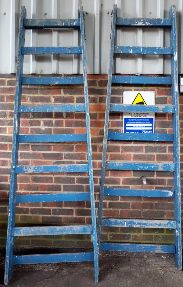 Two 20th century blue painted A-frame eight rung ladders, 20cm high, (2).