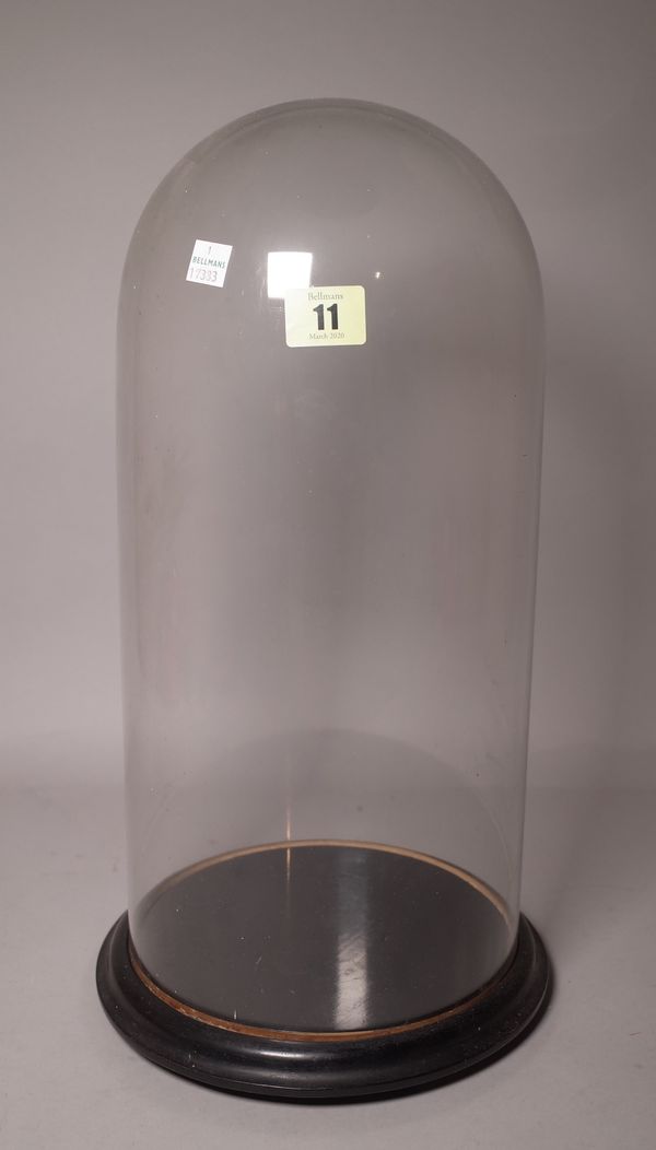 A glass display dome, with ebonised base, 43cm high.