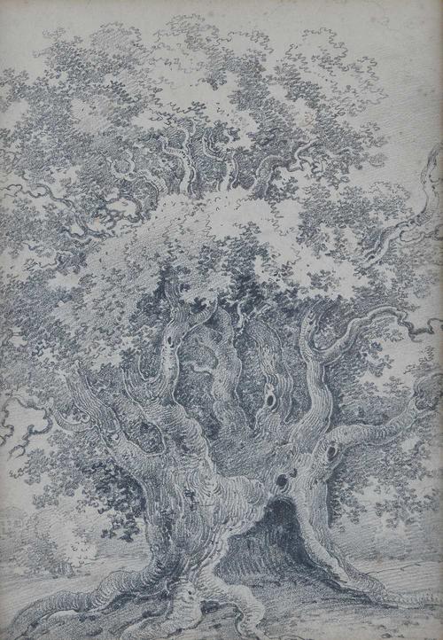 English School, late 18th/early 19th Century, Sheep resting below a tree; and a companion, a pair, one indistinctly inscribed (lower centre), pencil,