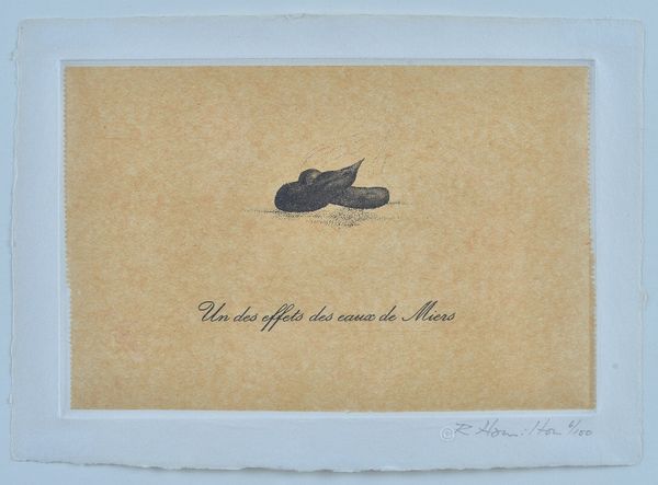 Richard Hamilton (British, 1922-2011), Un des effets des eaux de Miers, 1973, signed and numbered in pencil 'R Hamilton 6/100' (in lower margin), etch