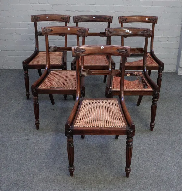 A set of six William IV rosewood bar back dining chairs on reeded supports, 47cm wide x 84cm high.