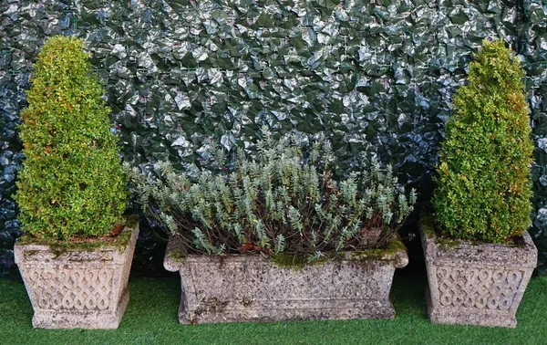 A pair of square pre-cast terrace urns, 40cm square x 35cm high, planted, together with a pre-cast rectangular planter, (3).