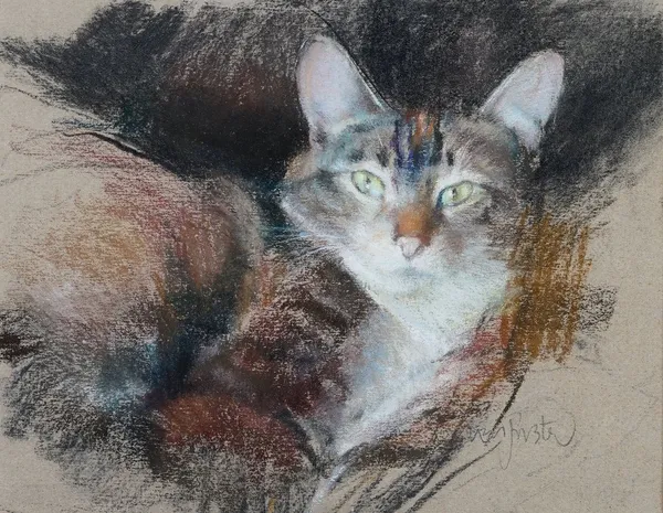 Neil Forster (British, 1940-2016), Cat, signed 'Neil Forster' (lower right) and bears David Ker Fine Art label (verso), pastel, 19.5 x 25cm. ARR