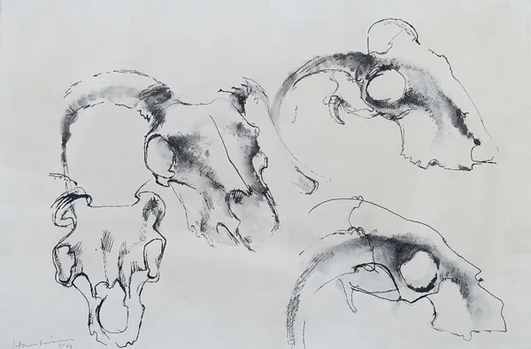 Maggi Hambling (British, b. 1945), Study of sheep skulls, signed and dated 'Hambling 59', pen and ink, 31 x 46cm. ARR