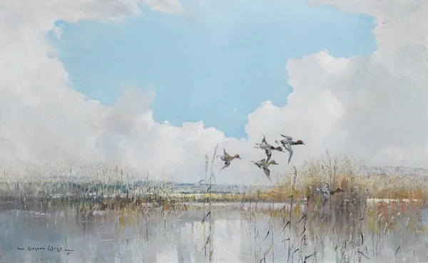 Vernon de Beauvoir Ward (British, 1905-1985), Ducks in Flight, signed and dated 'Vernon Ward 51' (lower left), oil on canvas, 36.5 x 60cm. ARR