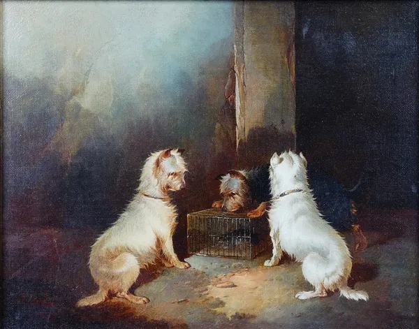 Paul Jones (British, fl. 1855-1888), Terriers by a rat trap, signed and dated '1839', oil on canvas, 20 x 24cm.