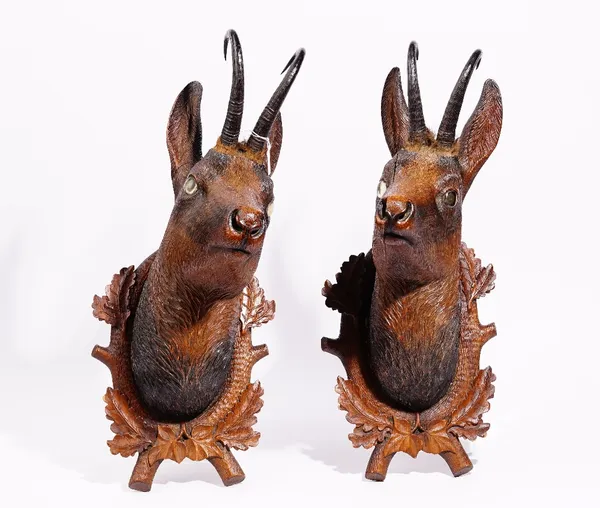 A pair of 19th century Black Forest carved lime wood chamois heads with natural horn, mounted on an oak leaf shield back, 60cm high.