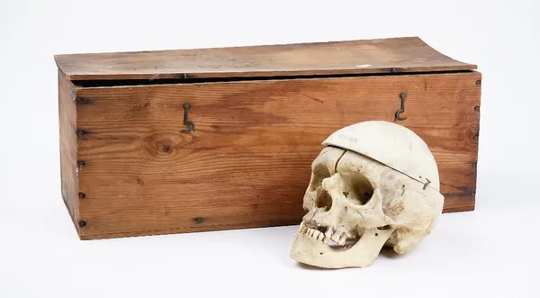 Anatomy - an early 20th century partial human skeleton, including skull, contained in a pine box, no label but possibly by Adam Rouilly & Co.